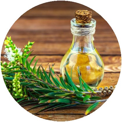 Tea tree olej